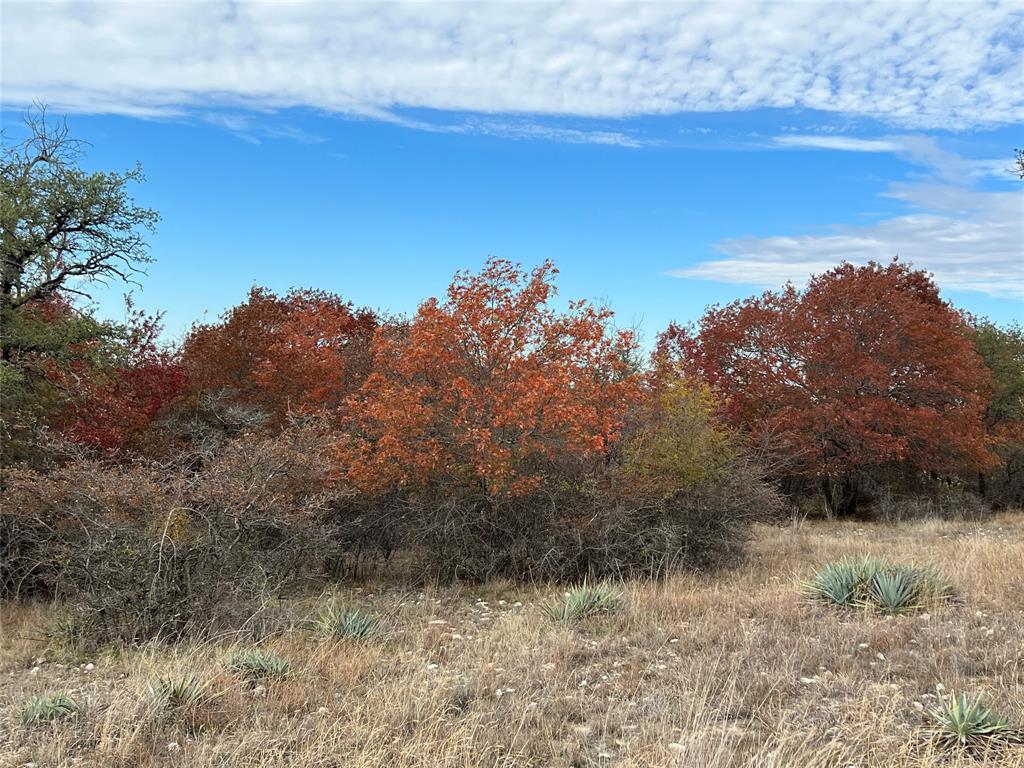 Lot 24 Pr 6332 Property Photo 10