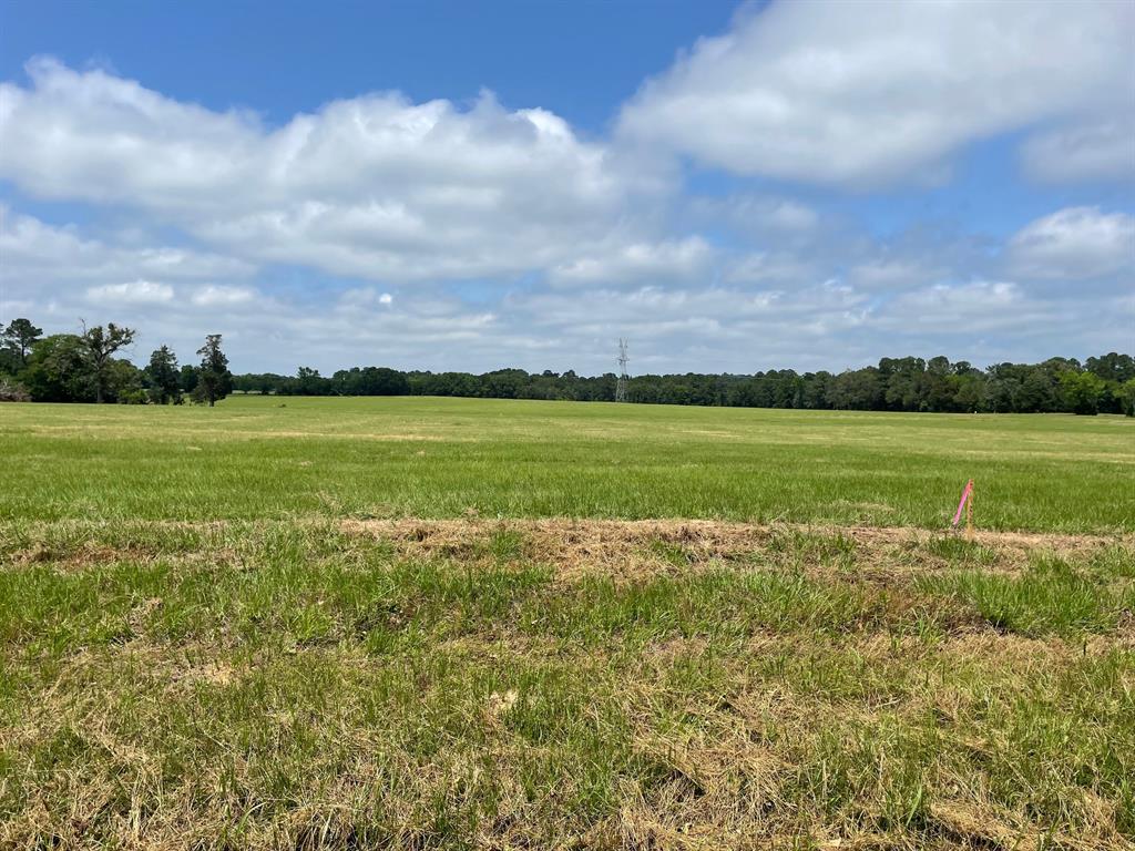 20333 County Road 4126 Lot 5 Property Photo 2