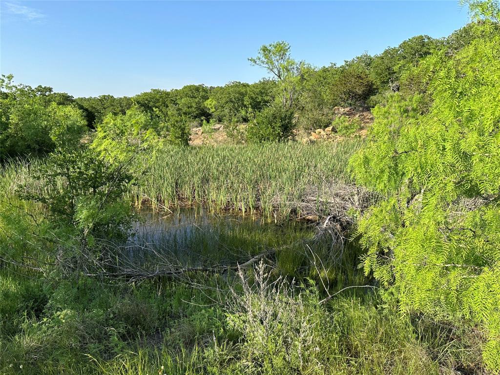 5730 Gobbler Hollow Property Photo 1