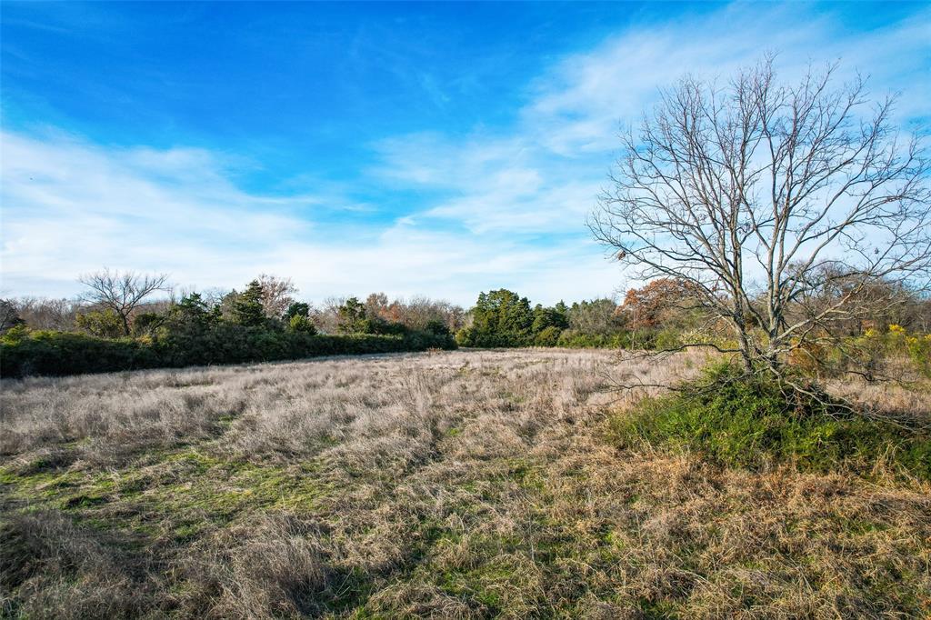 910 N Prairie Creek Road Property Photo 5