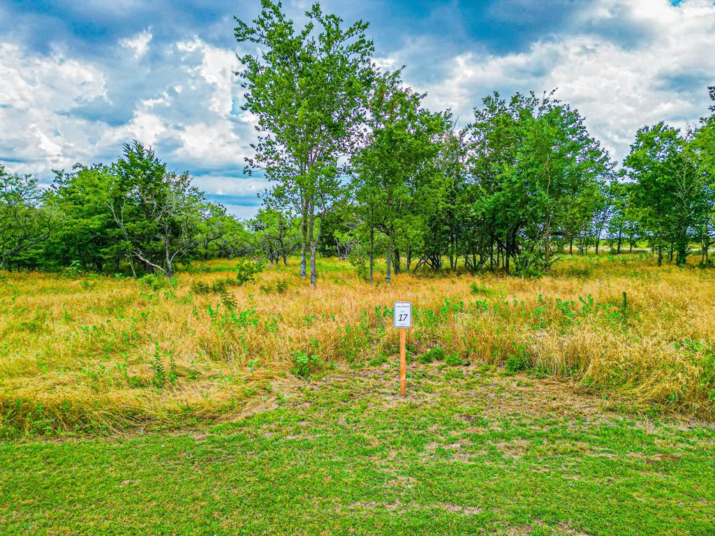 Lot 17 Grison Circle Property Photo 4
