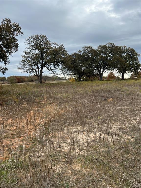 1073 Gonzollas Road Property Photo 2