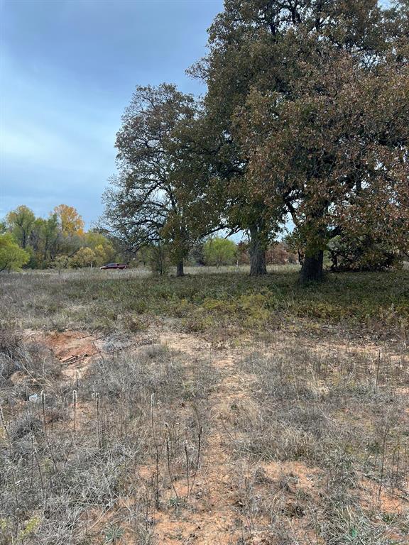 1073 Gonzollas Road Property Photo 3