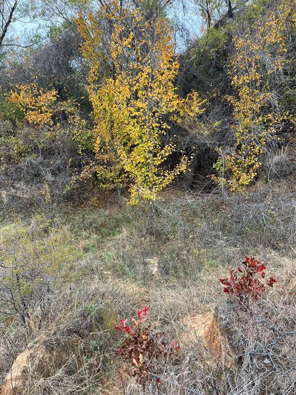 1073 Gonzollas Road Property Photo 11
