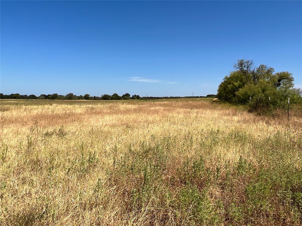 1410 County Road 239 Property Photo 20
