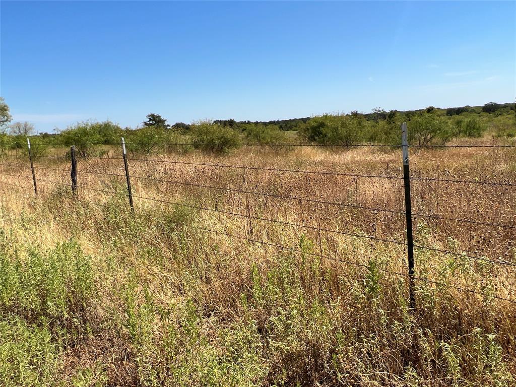 1410 County Road 239 Property Photo 22