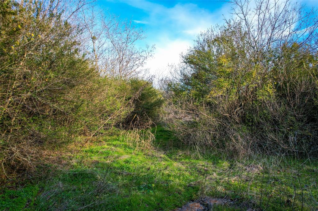 800 N Prairie Creek Road Property Photo 6
