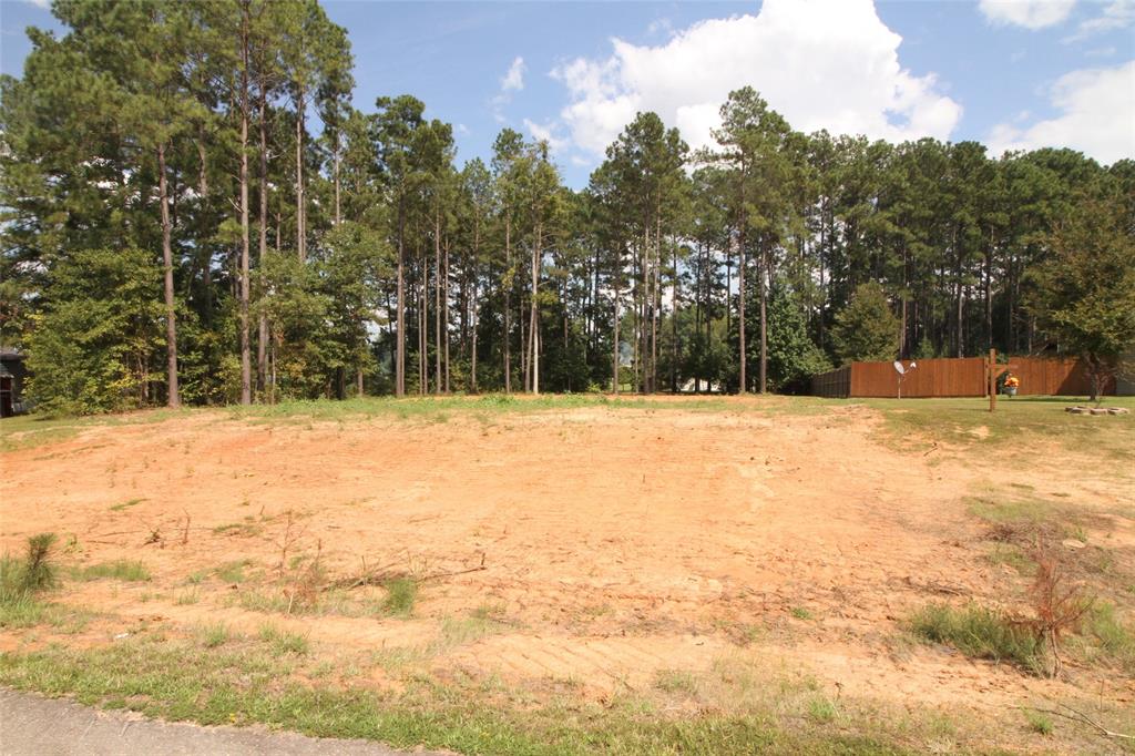 009 Castle Dale Loop Property Photo 1