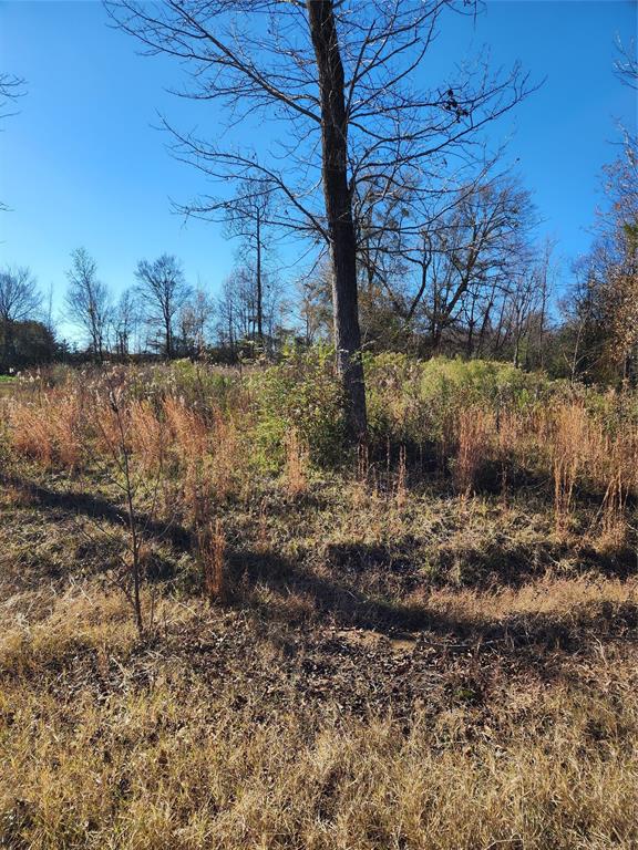29 Henderson Gin Road Property Photo 1