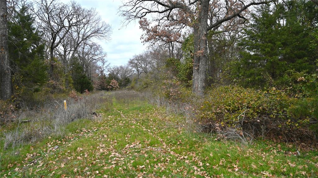 540 Perkins Road Property Photo 25