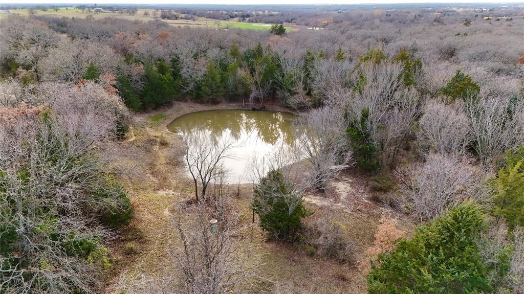 540 Perkins Road Property Photo 29