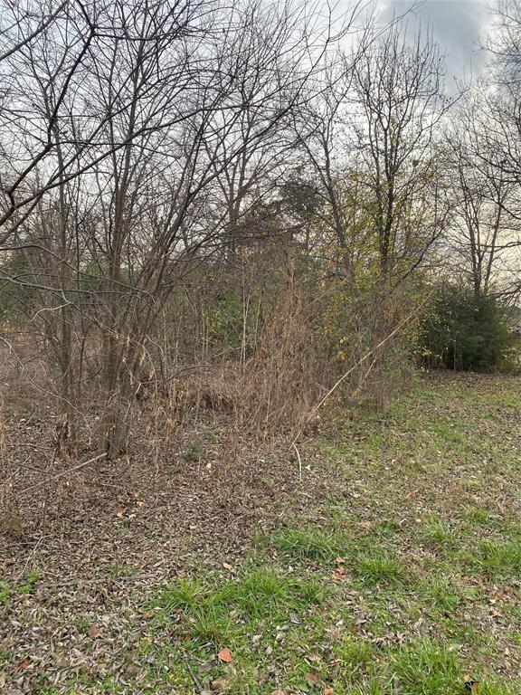 2714 Henry Road Property Photo 10
