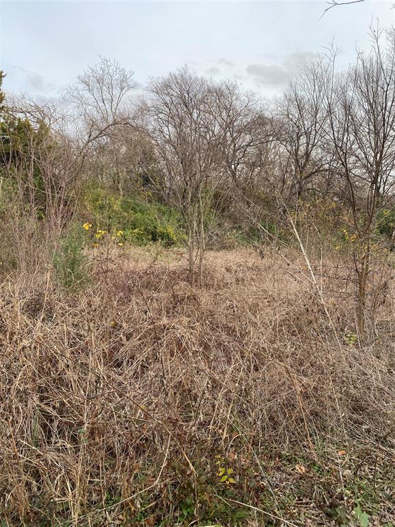 2714 Henry Road Property Photo 12