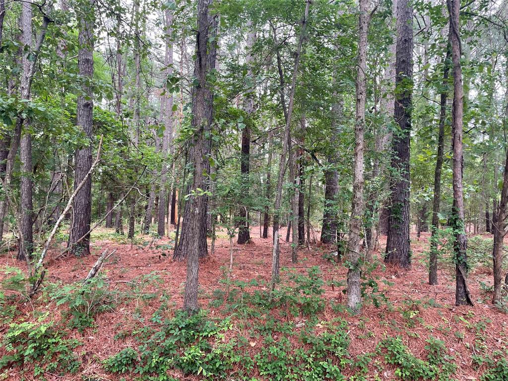 20312 County Road 4106 Lot 13 Property Photo 1