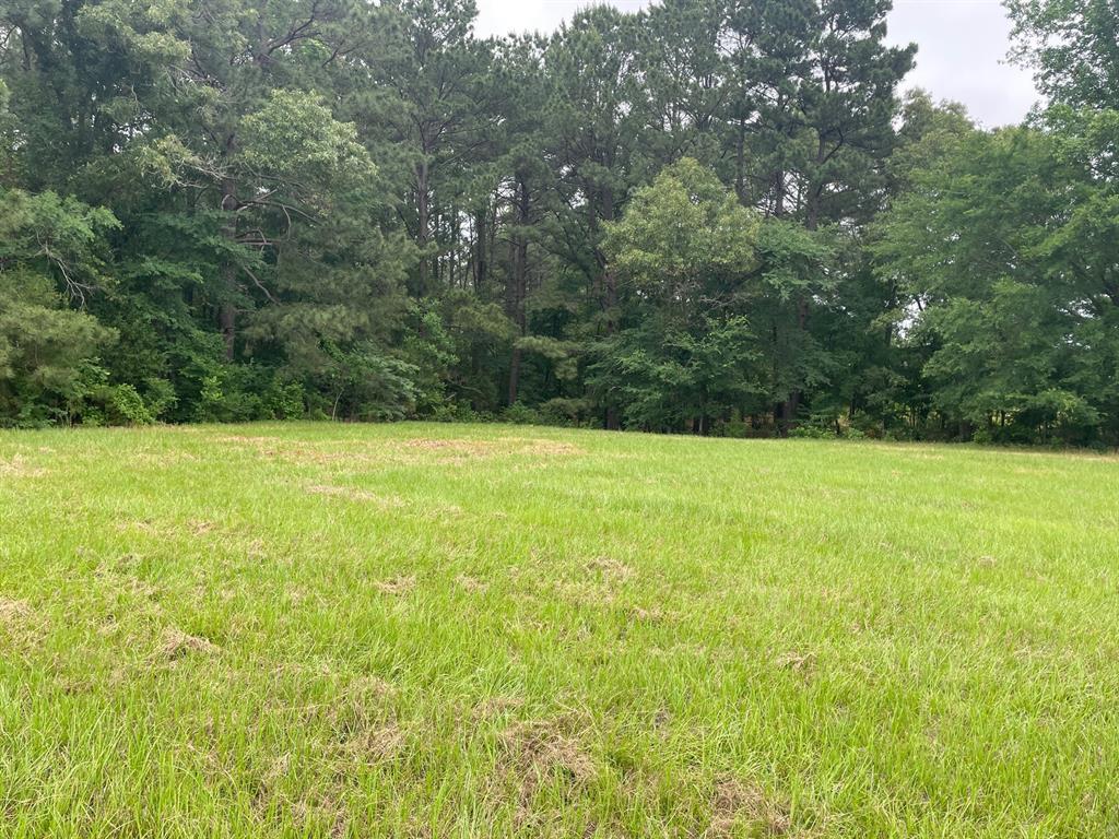 20312 County Road 4106 Lot 13 Property Photo 2