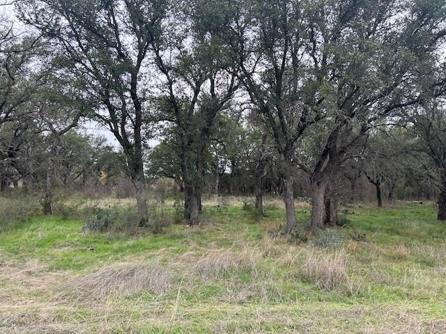 1000 Homestead Drive Property Photo 4