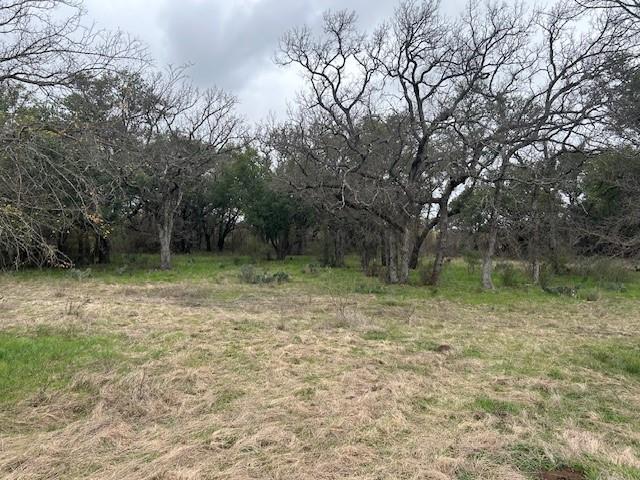 1000 Homestead Drive Property Photo 9