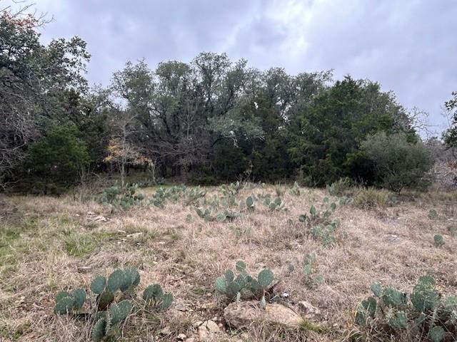 1000 Homestead Drive Property Photo 14