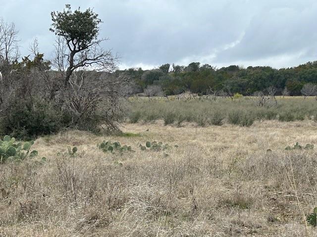 1000 Homestead Drive Property Photo 19