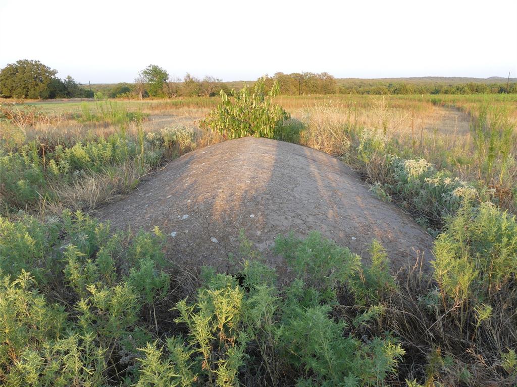 251 Pondview Lane Property Photo 3