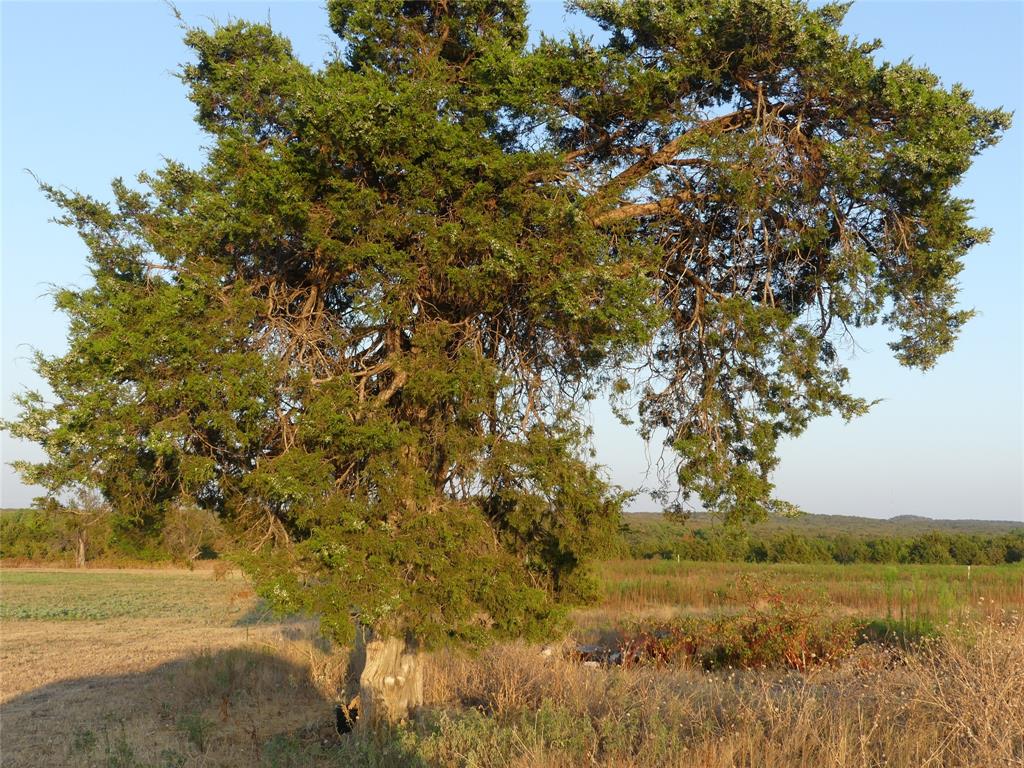 251 Pondview Lane Property Photo 5