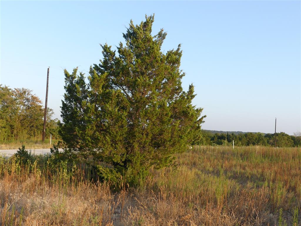 251 Pondview Lane Property Photo 6