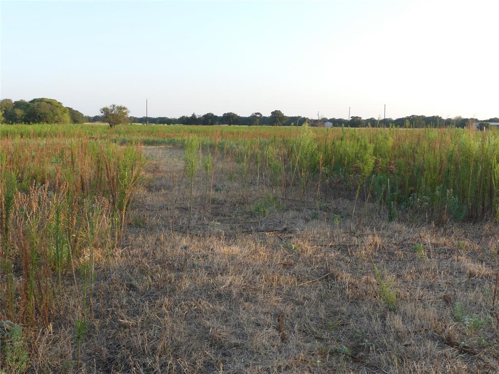 251 Pondview Lane Property Photo 7