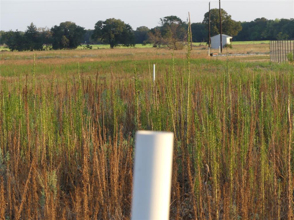 251 Pondview Lane Property Photo 8