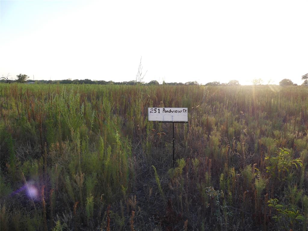 251 Pondview Lane Property Photo 14