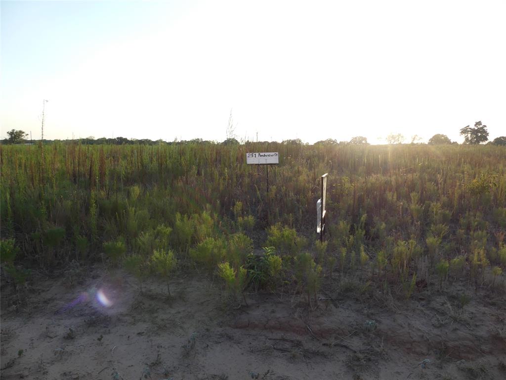 251 Pondview Lane Property Photo 15