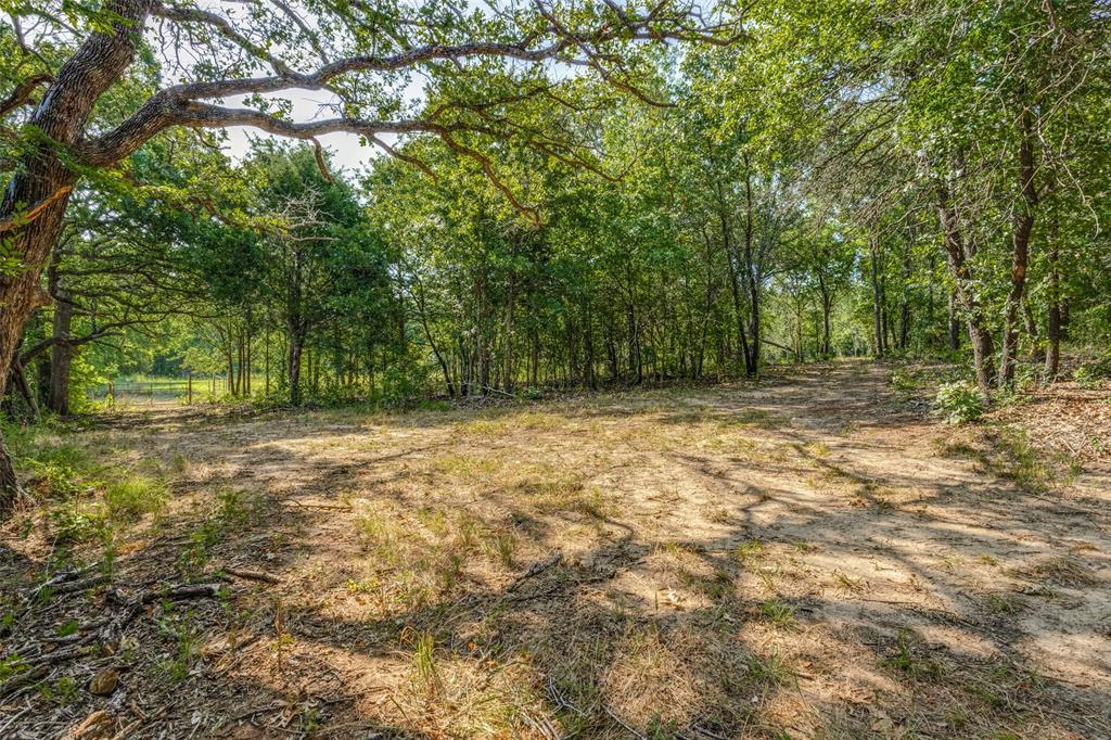 6650 State Hwy 56 Highway Property Photo 3