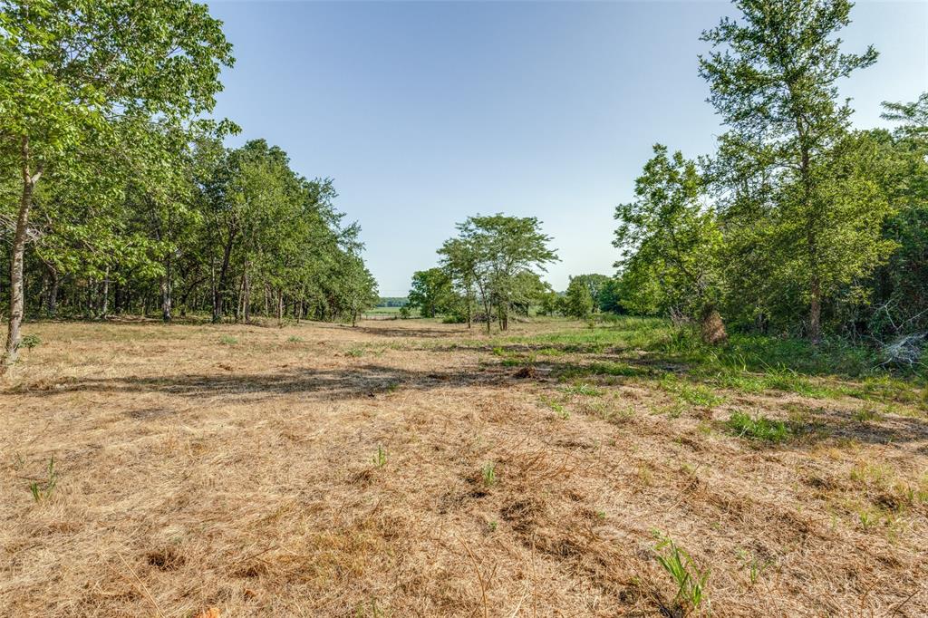 6650 State Hwy 56 Highway Property Photo 4