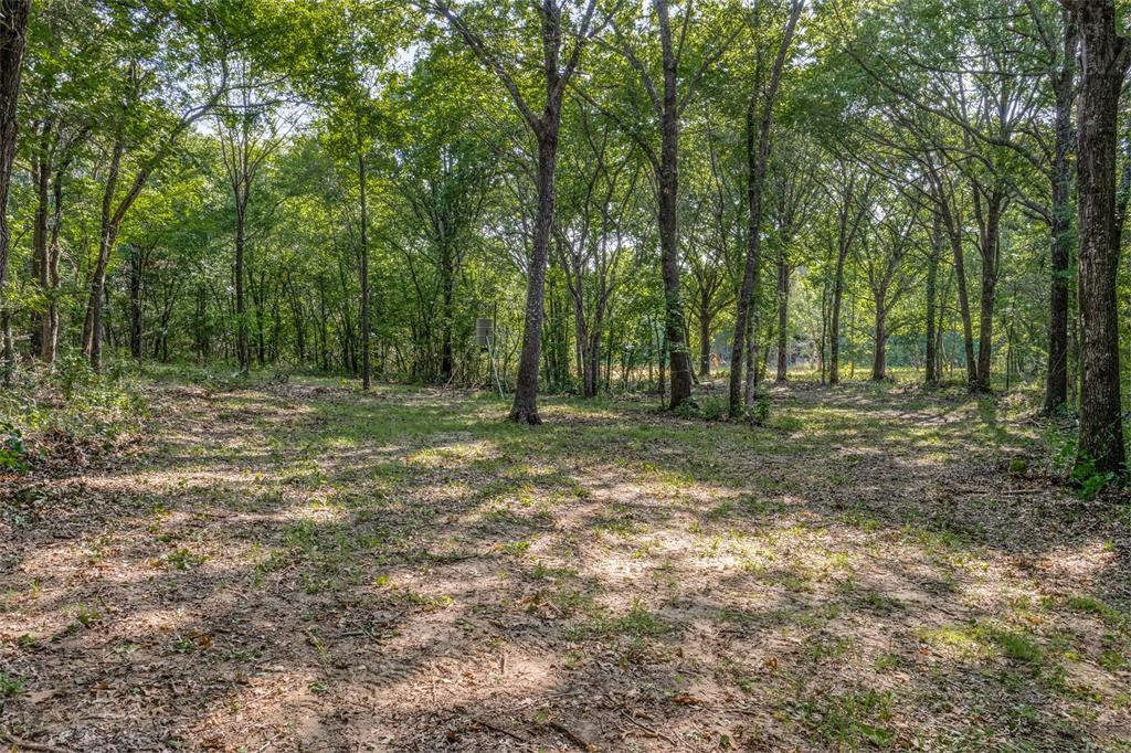 6650 State Hwy 56 Highway Property Photo 5