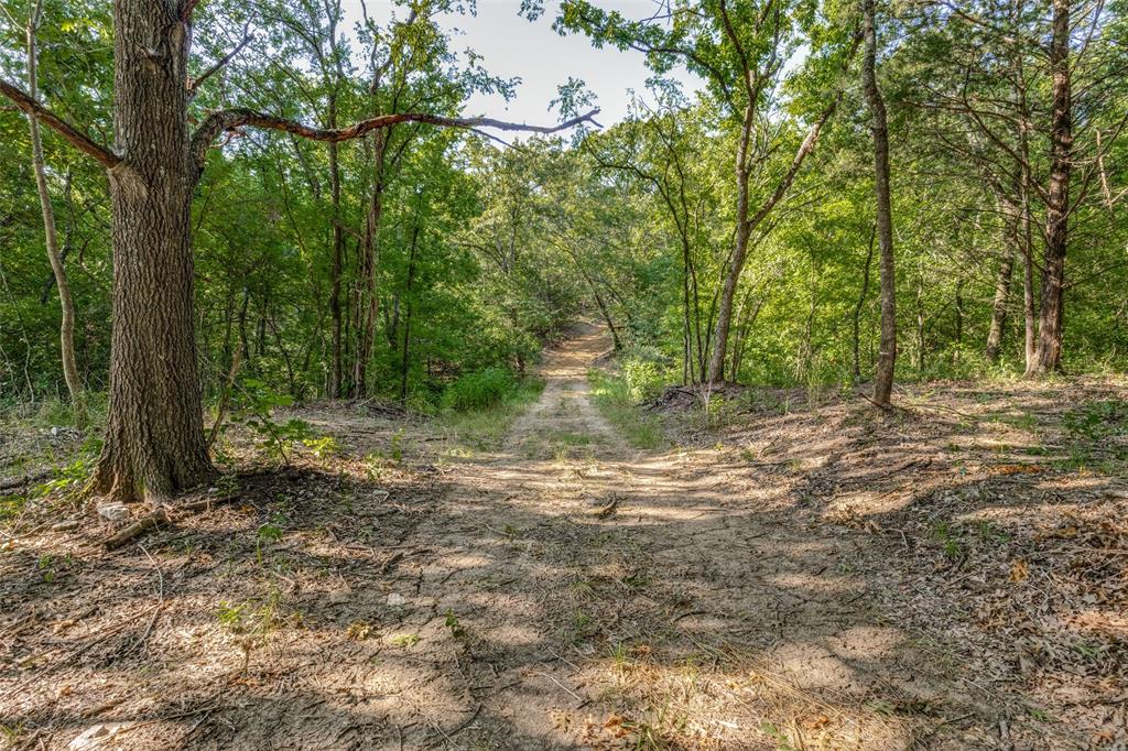 6650 State Hwy 56 Highway Property Photo 6