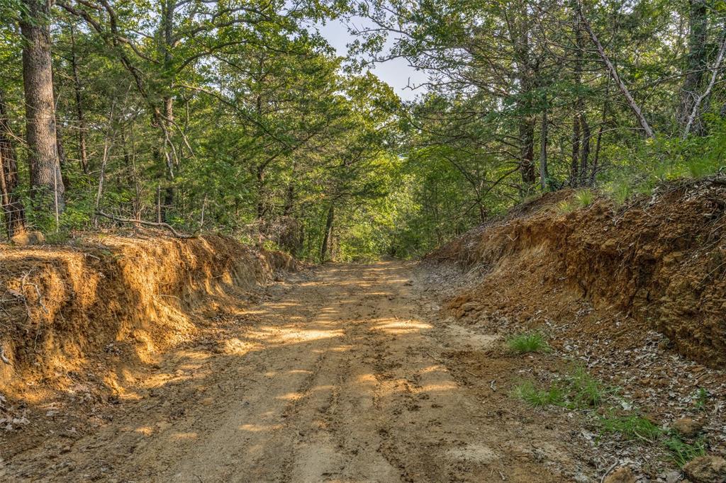 6650 State Hwy 56 Highway Property Photo 7