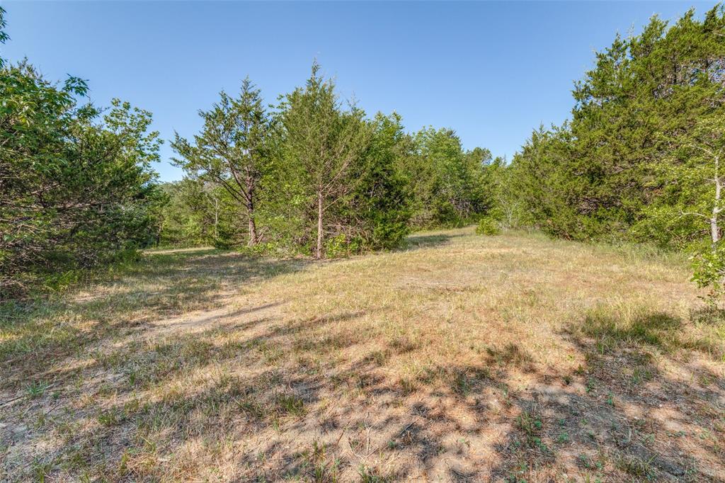 6650 State Hwy 56 Highway Property Photo 8