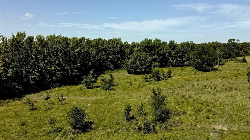 10142 Fm 773 Property Photo 6