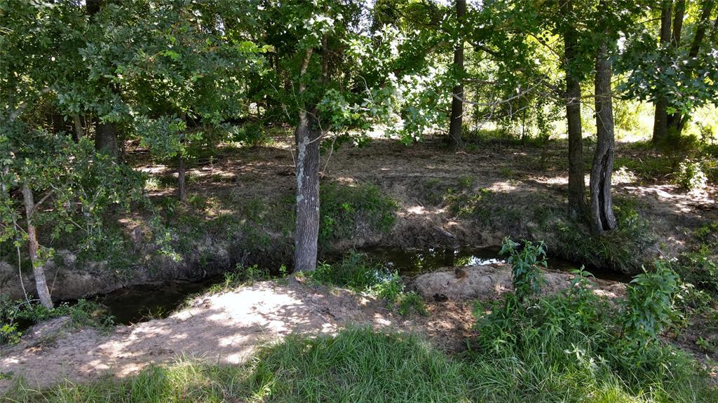 10142 Fm 773 Property Photo 25