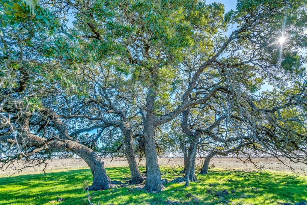 14490 Fm 218 Fm 218 Road Property Photo 5