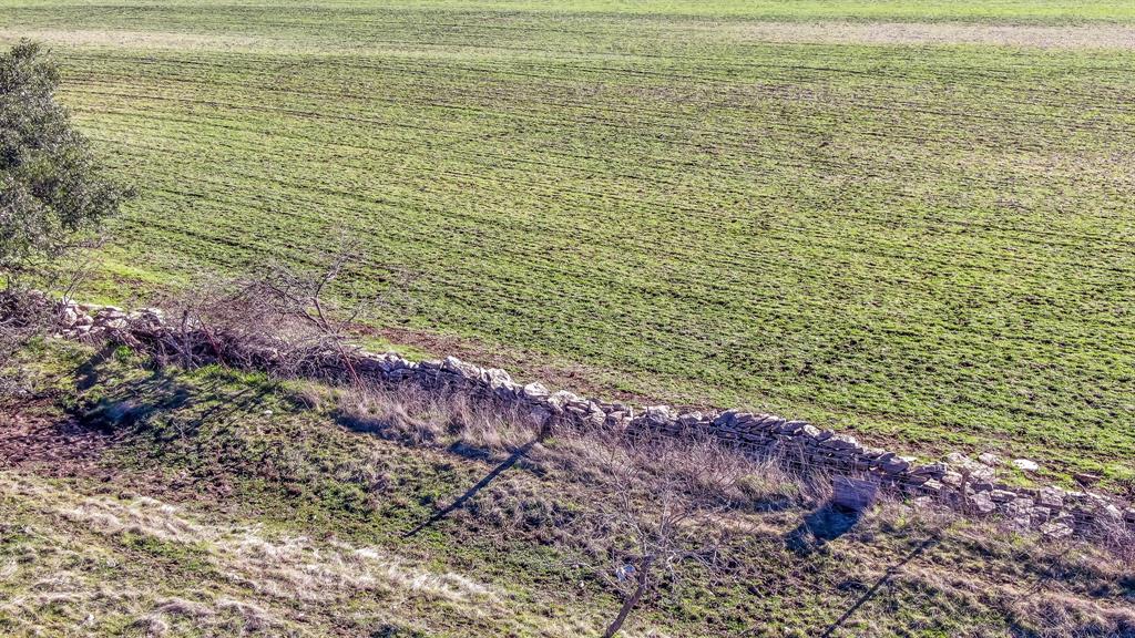 14490 Fm 218 Fm 218 Road Property Photo 31