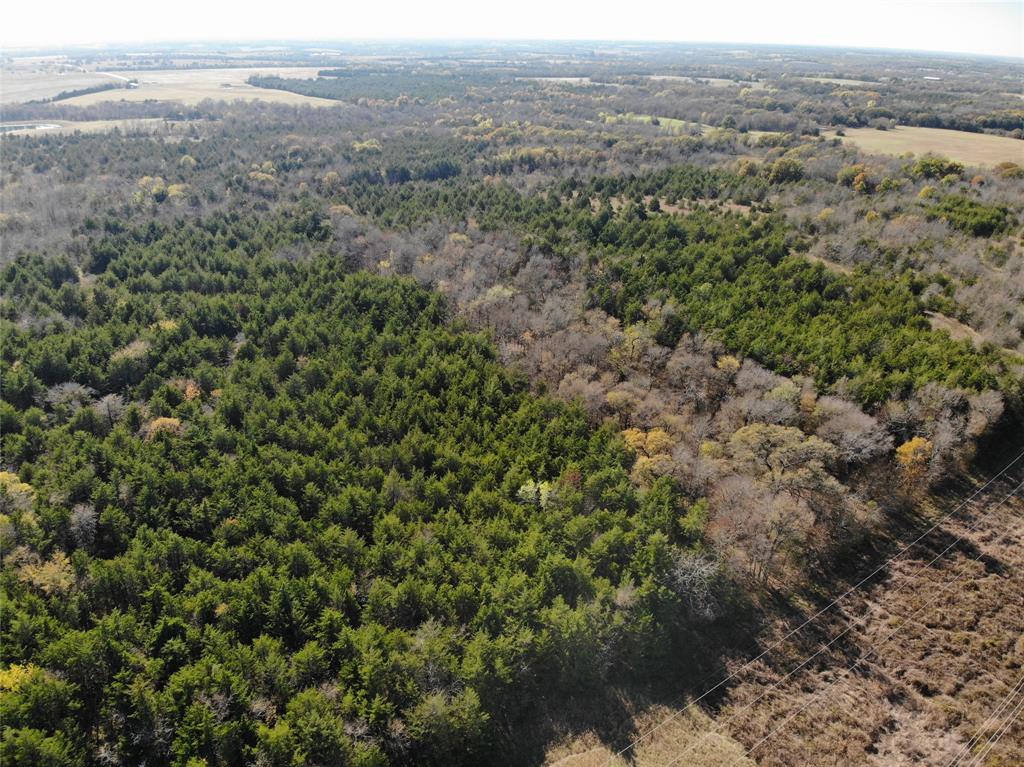 Lot 5 Fm 1743 Property Photo 10