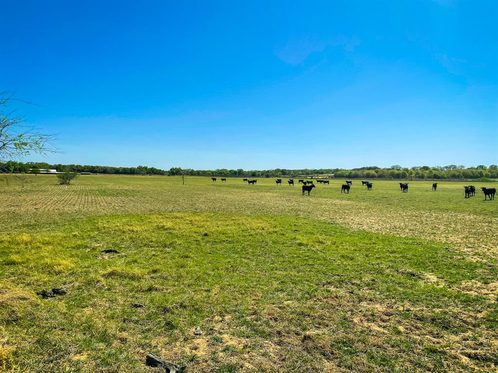 Tbd Cr 254 Property Photo 1