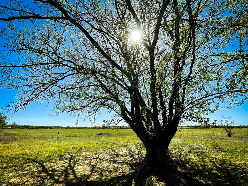 Tbd Cr 254 Property Photo 3