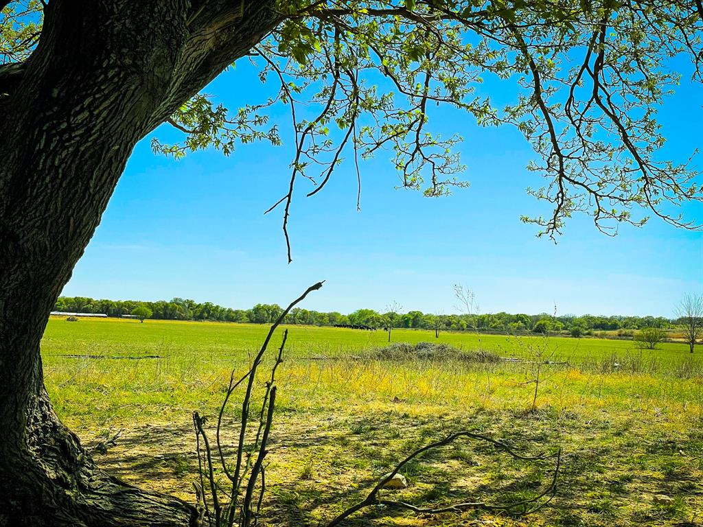 Tbd Cr 254 Property Photo 7