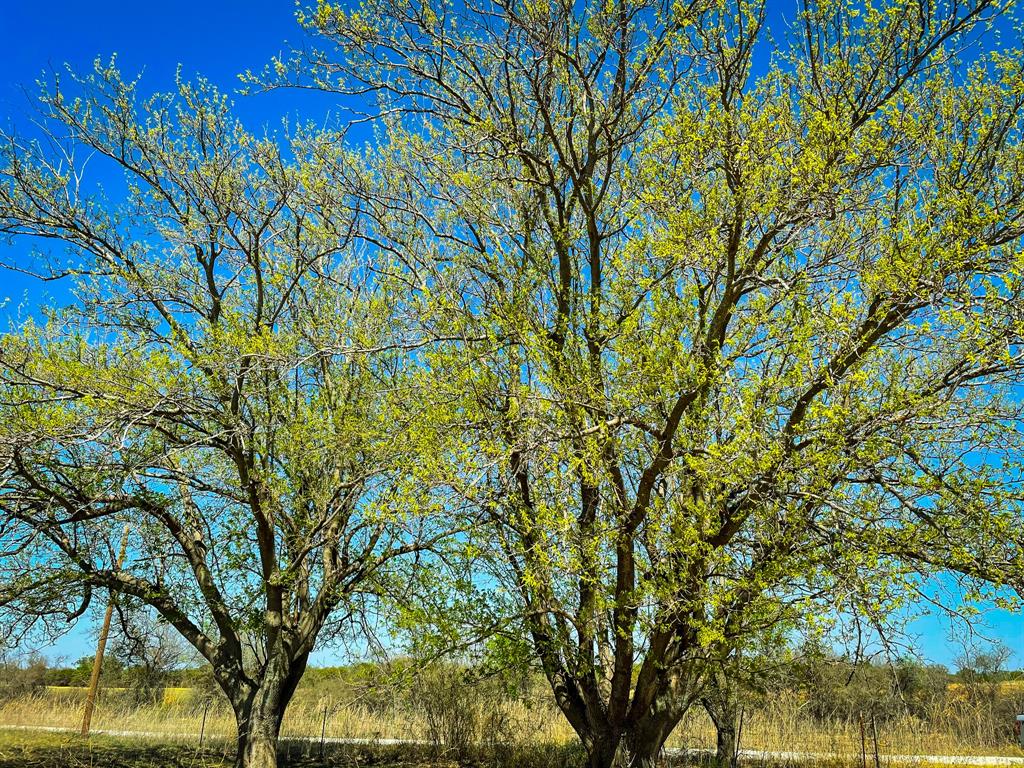 Tbd Cr 254 Property Photo 8
