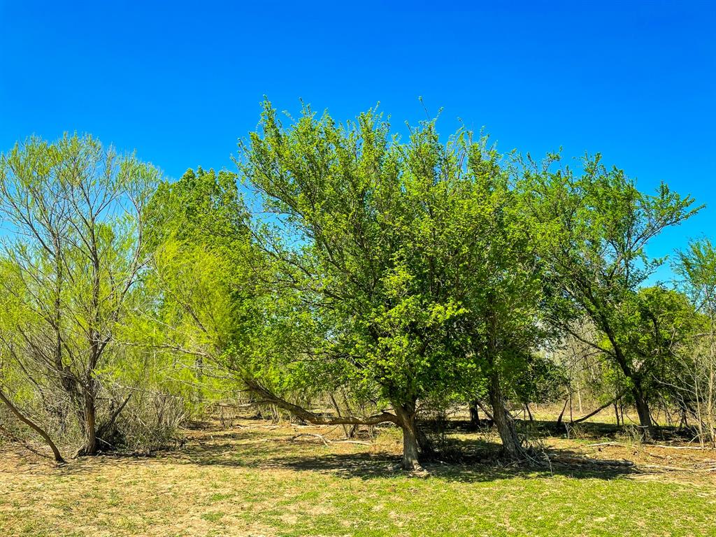 Tbd Cr 254 Property Photo 12