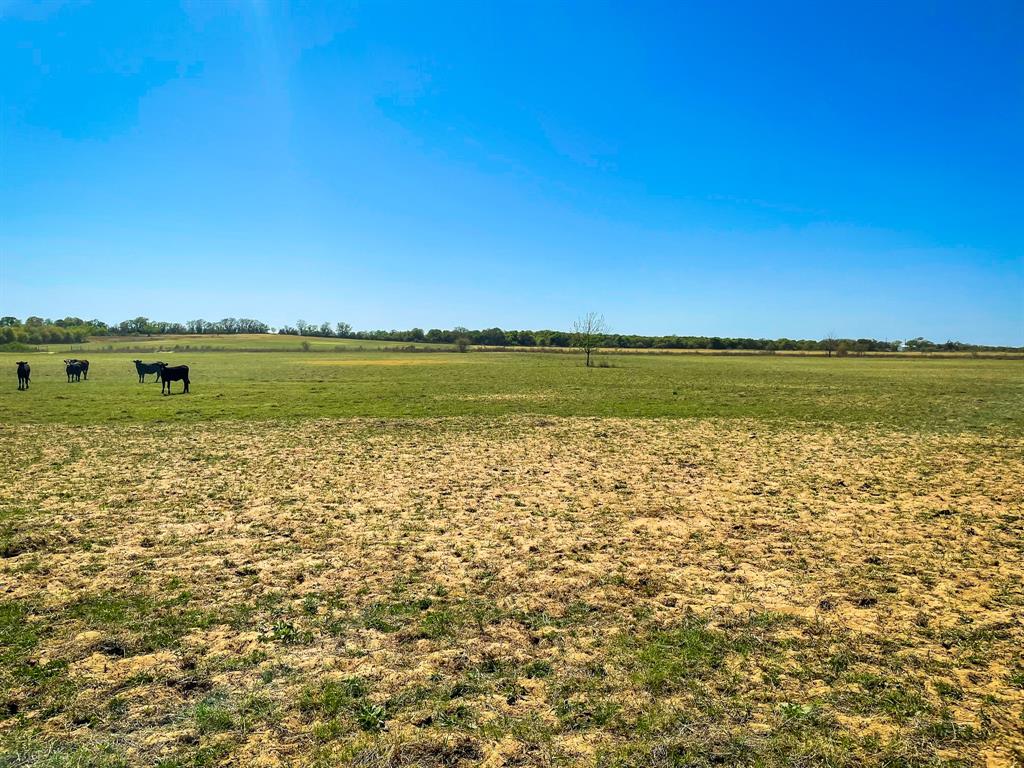 Tbd Cr 254 Property Photo 14