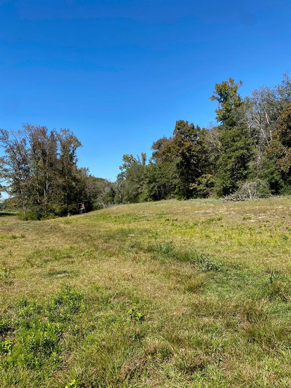 Tbd 008 County Rd 242 Property Photo 1