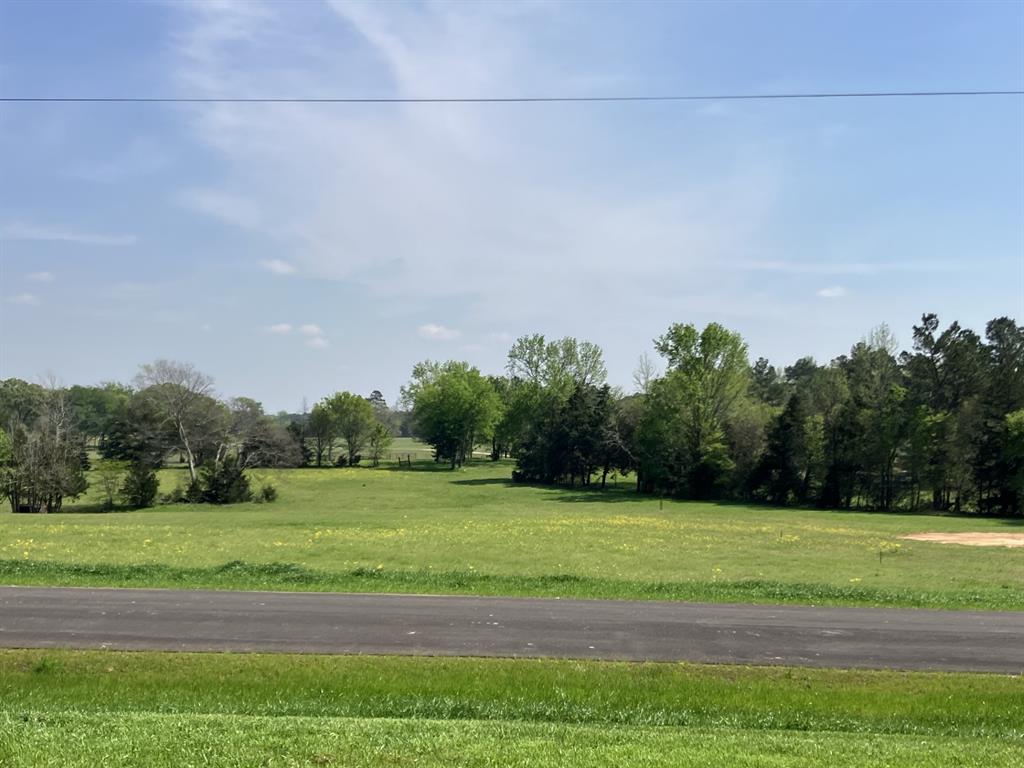 12746 Ridgeway Court Property Photo 8