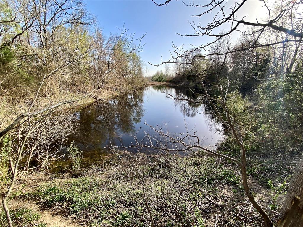 Tbd Vz County Road 4105 Property Photo 1